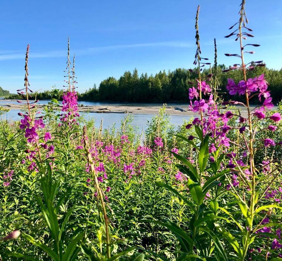 Susitna River Lodging, Suites Talkeetna Exterior photo