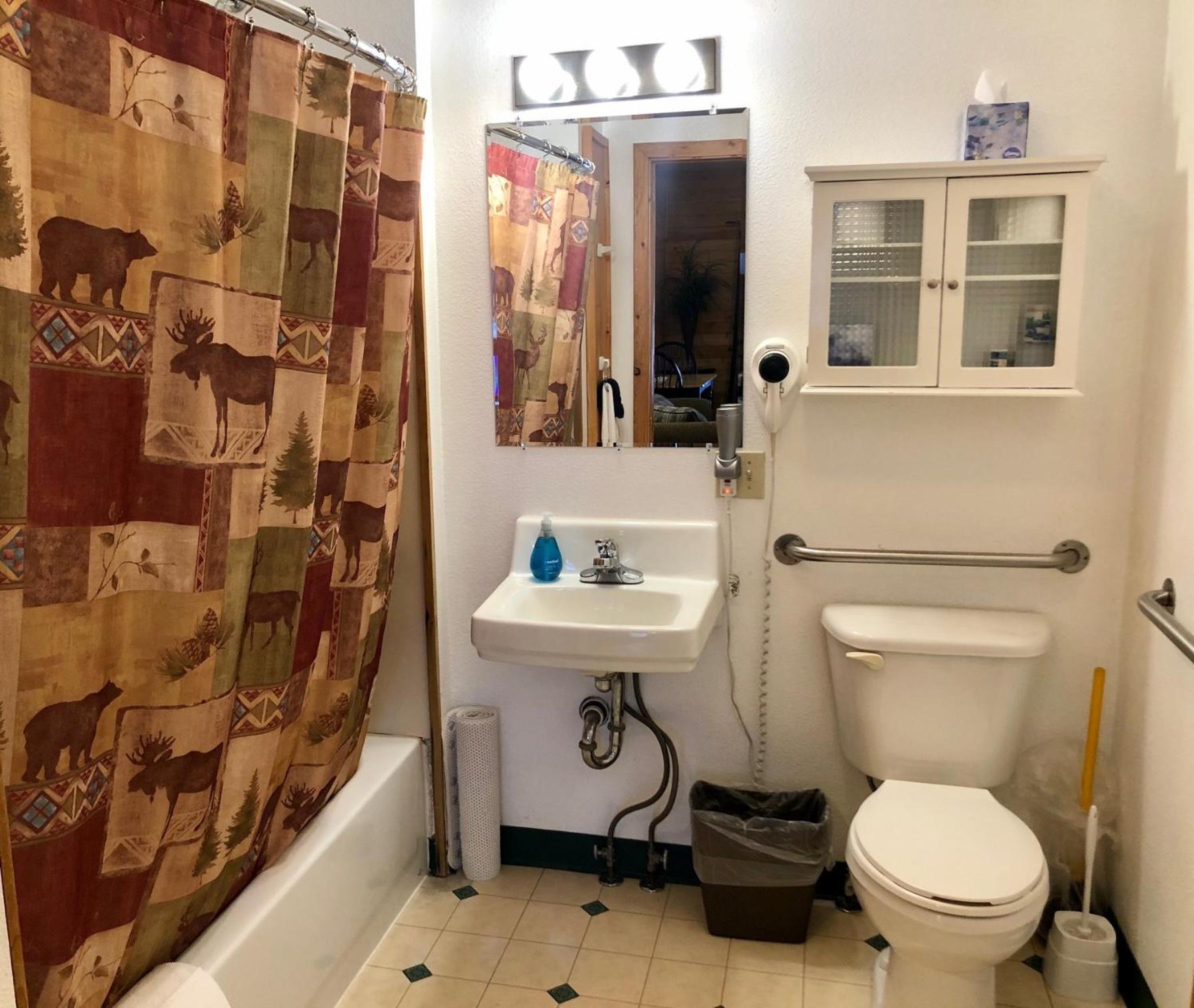 Susitna River Lodging, Suites Talkeetna Room photo